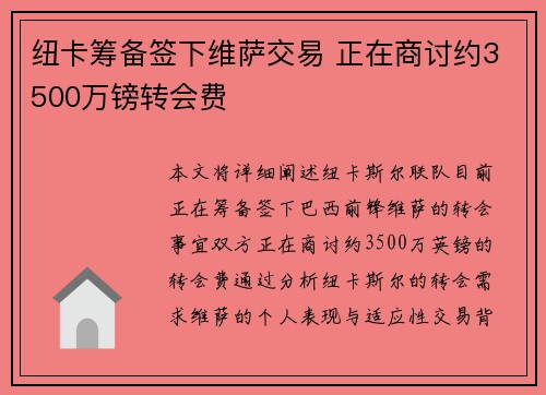 纽卡筹备签下维萨交易 正在商讨约3500万镑转会费